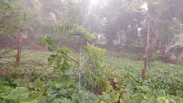 First image of Lot#-198 Nightingale Drive in Mandeville, Manchester, Jamaica - property is For Sale
