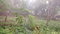 First image of Lot#-198 Nightingale Drive in Mandeville, Manchester, Jamaica - property is For Sale