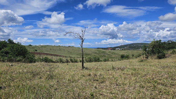 Eleventh image of 70 Newark Grove in Spur Tree, Manchester, Jamaica - property is For Sale