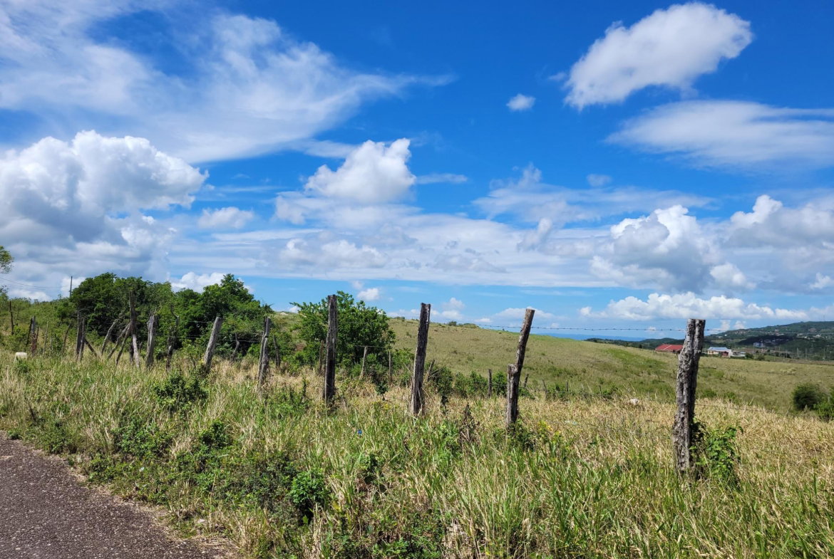 Twelfth image of 70 Newark Grove in Spur Tree, Manchester, Jamaica - property is For Sale