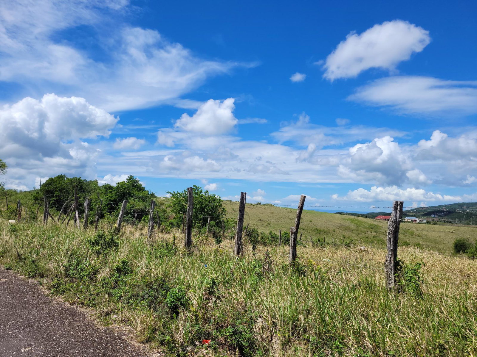 Twelfth image of 70 Newark Grove in Spur Tree, Manchester, Jamaica - property is For Sale