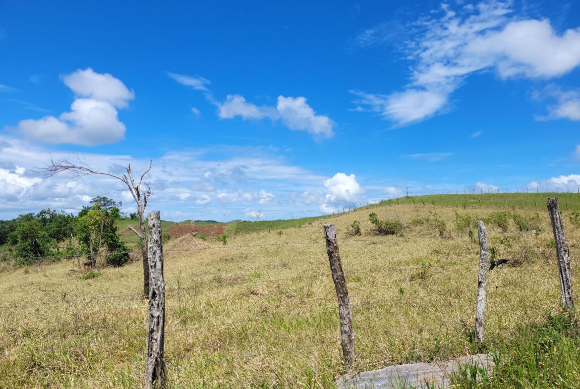 Sixth image of 70 Newark Grove in Spur Tree, Manchester, Jamaica - property is For Sale