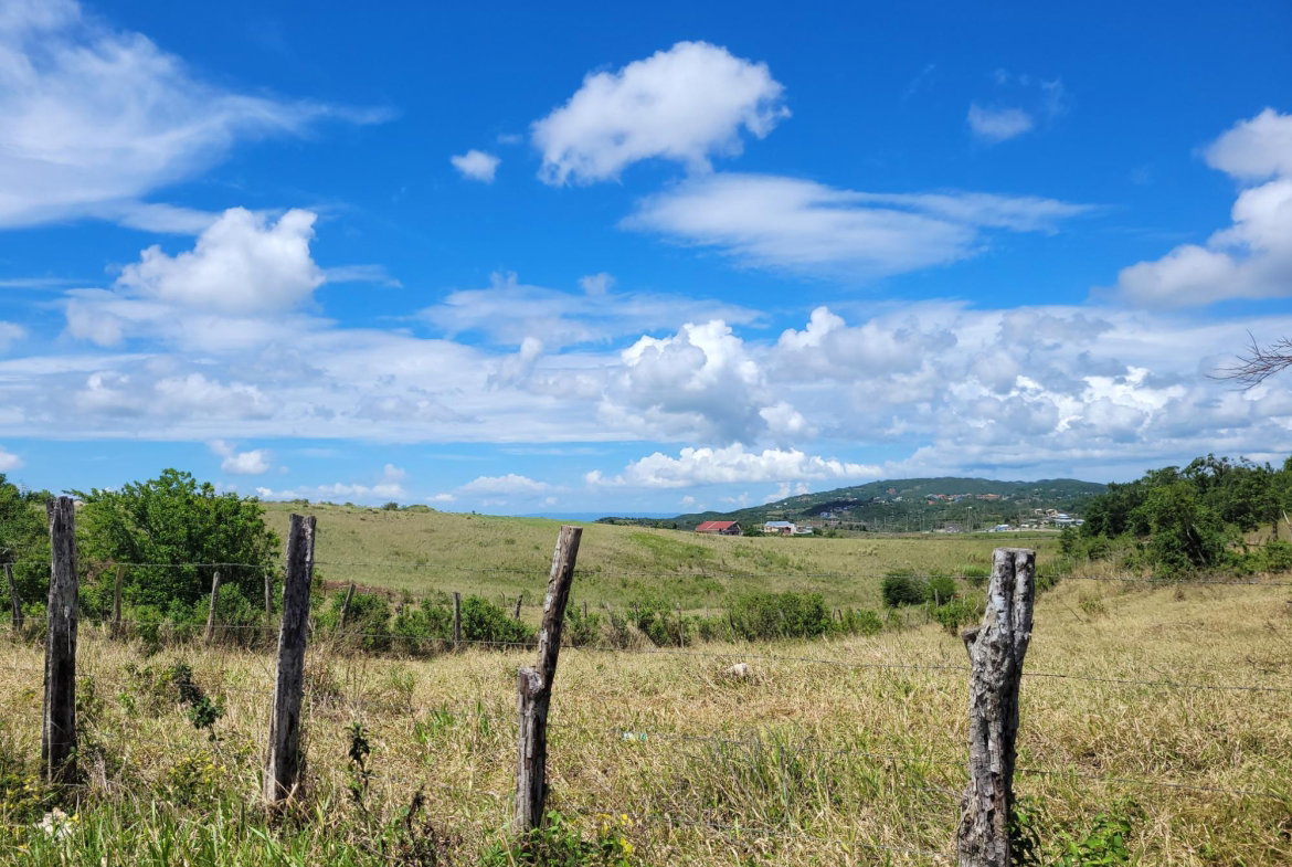 Seventh image of 70 Newark Grove in Spur Tree, Manchester, Jamaica - property is For Sale