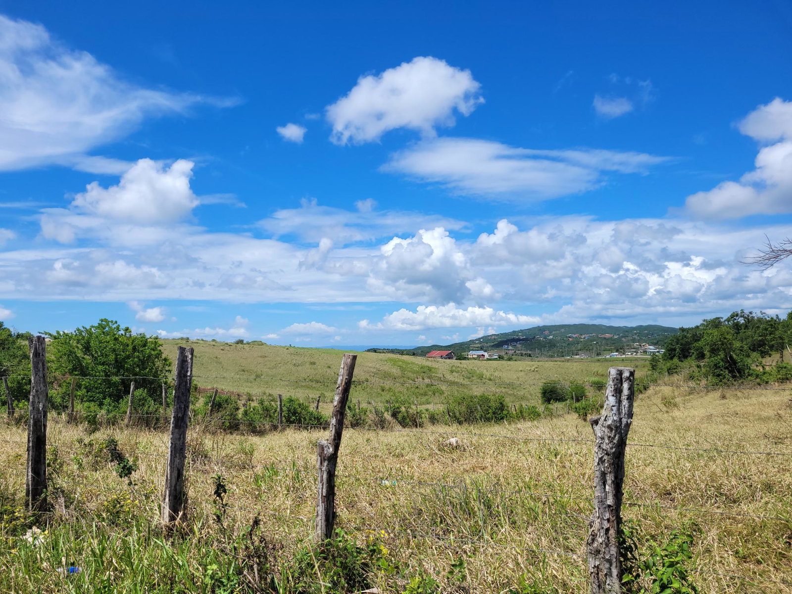 Seventh image of 70 Newark Grove in Spur Tree, Manchester, Jamaica - property is For Sale