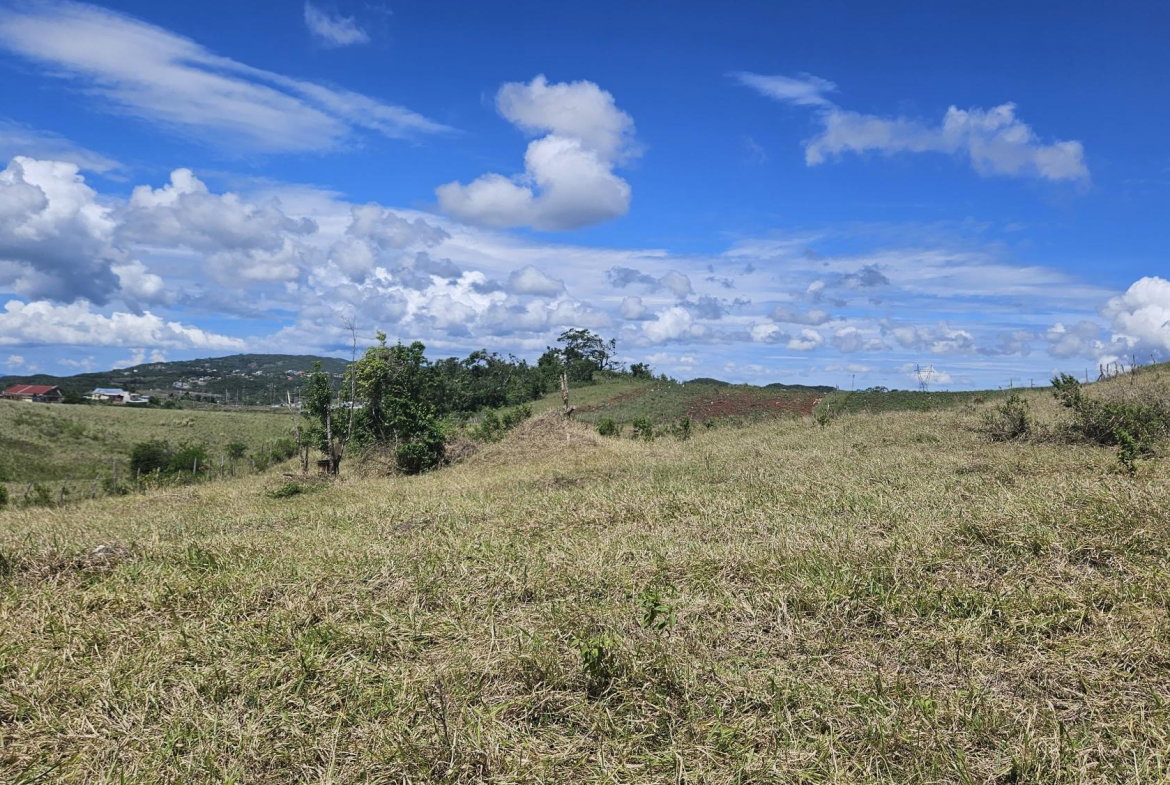 Eighth image of 70 Newark Grove in Spur Tree, Manchester, Jamaica - property is For Sale