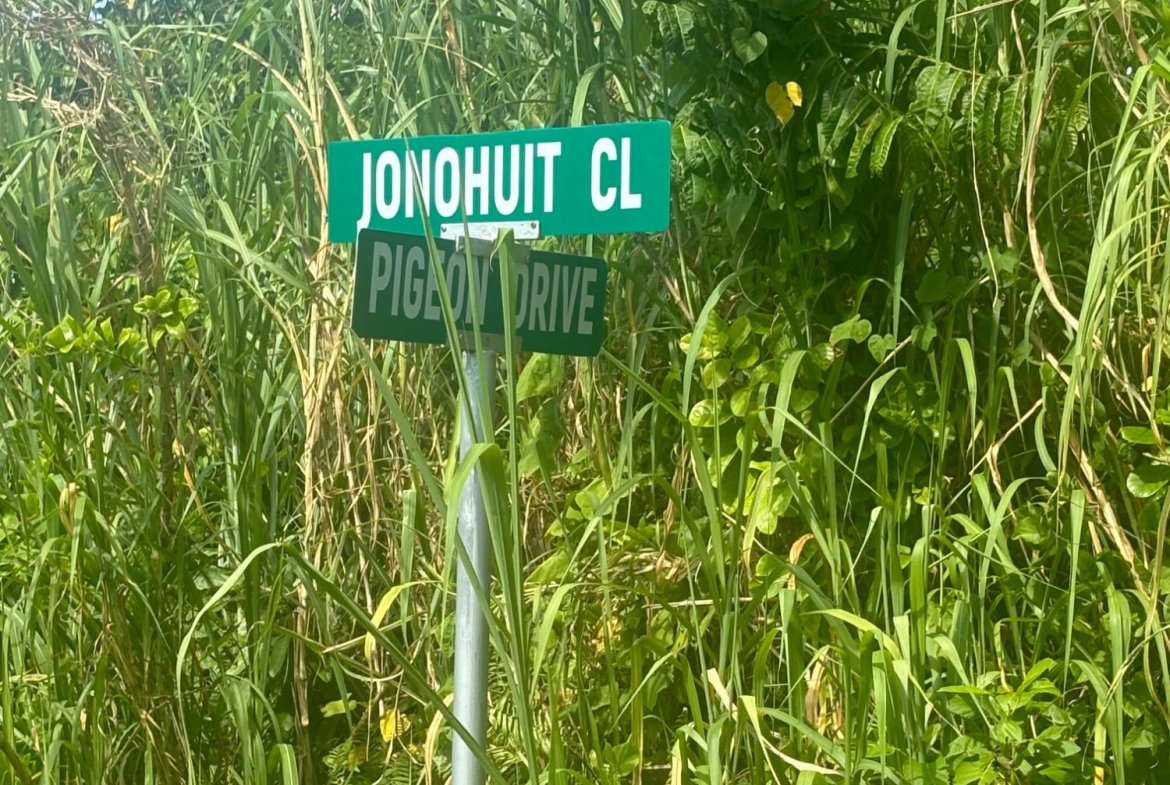 Eleventh image of 248- Jonohuit Close Norwich in Port Antonio, Portland, Jamaica - property is For Sale