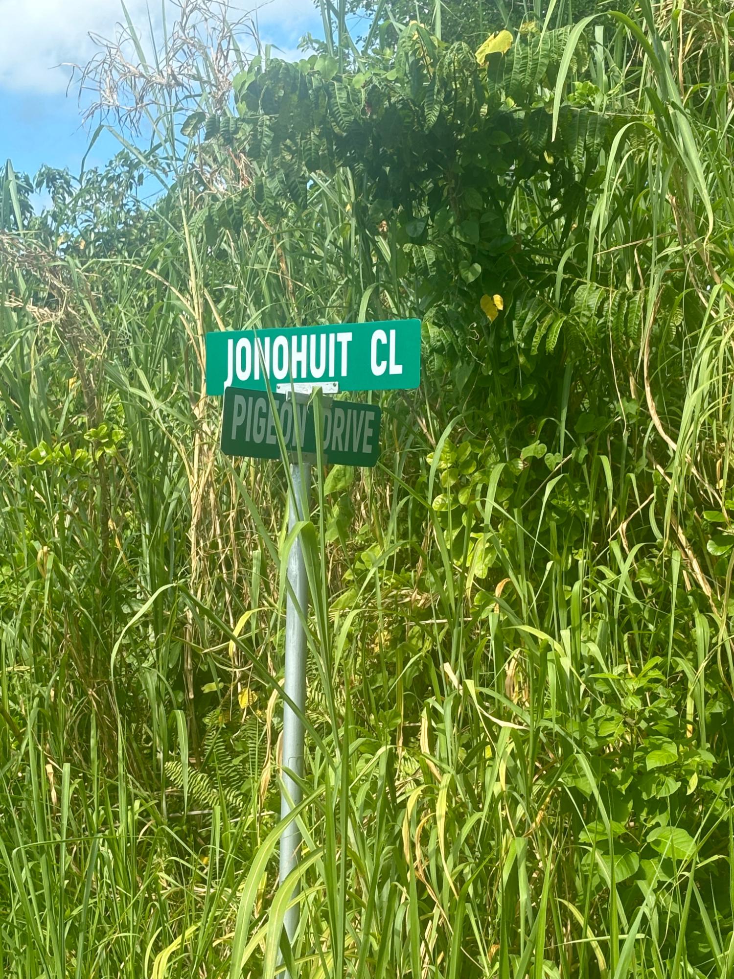 Prime-Residential-Lot-for-Sale-in-Norwich-Heights-Portland-Jamaica Eleventh image of 248- Jonohuit Close Norwich in Port Antonio, Portland, Jamaica - property is For Sale