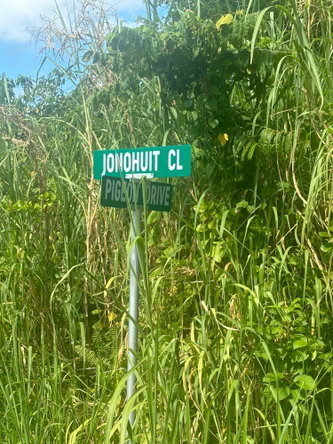 Eleventh image of 248- Jonohuit Close Norwich in Port Antonio, Portland, Jamaica - property is For Sale