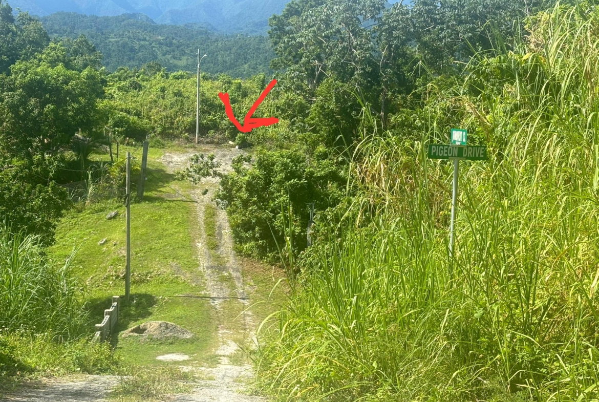 Twelfth image of 248- Jonohuit Close Norwich in Port Antonio, Portland, Jamaica - property is For Sale
