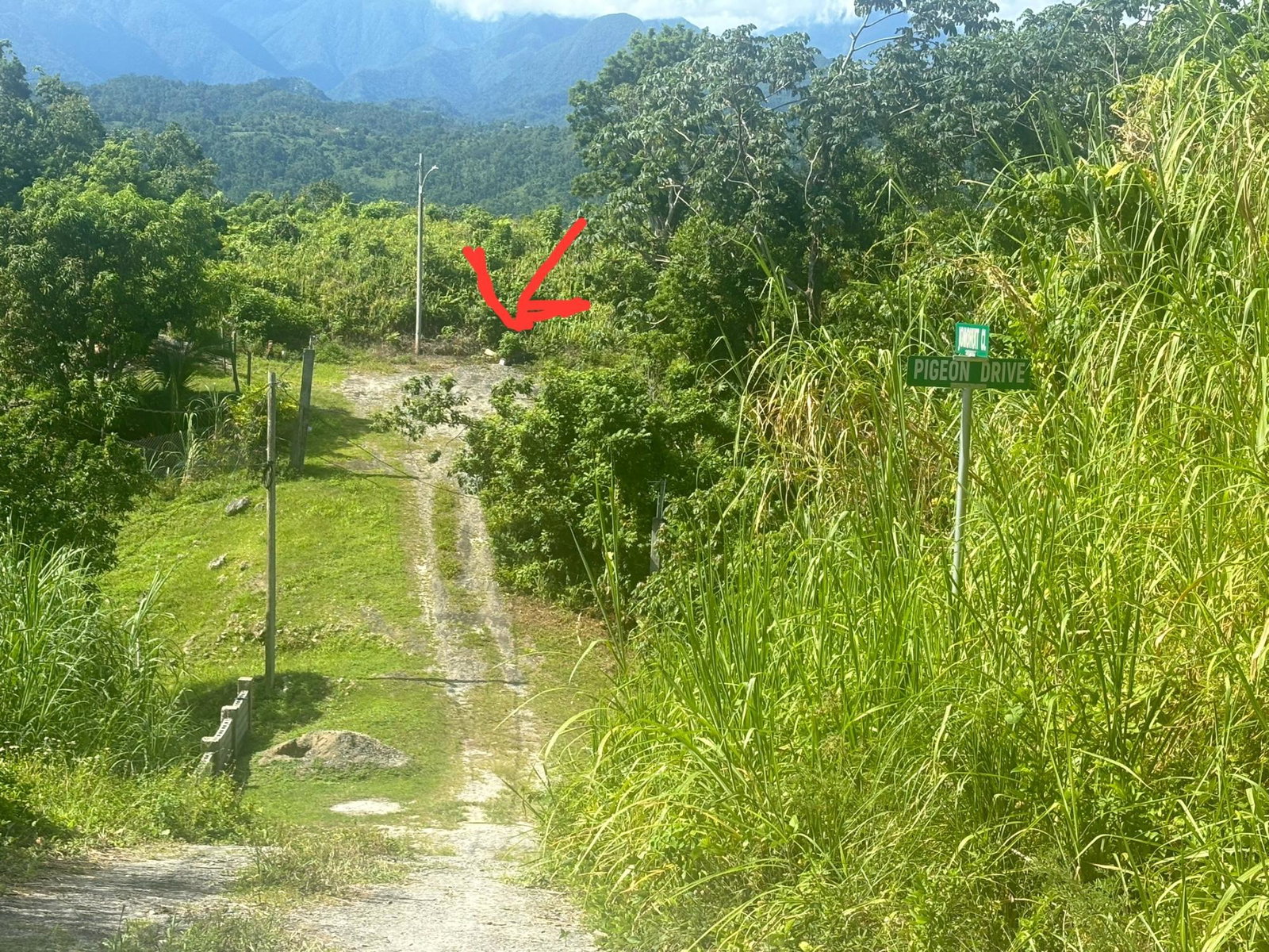 Prime-Residential-Lot-for-Sale-in-Norwich-Heights-Portland-Jamaica Twelfth image of 248- Jonohuit Close Norwich in Port Antonio, Portland, Jamaica - property is For Sale
