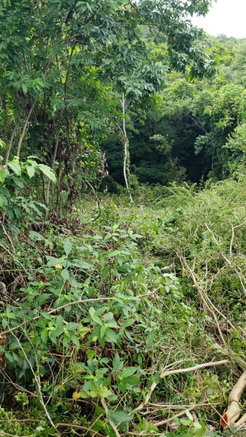First image of 581 Orchard Gardens, Hopewell in Hopewell, Hanover, Jamaica - property is For Sale