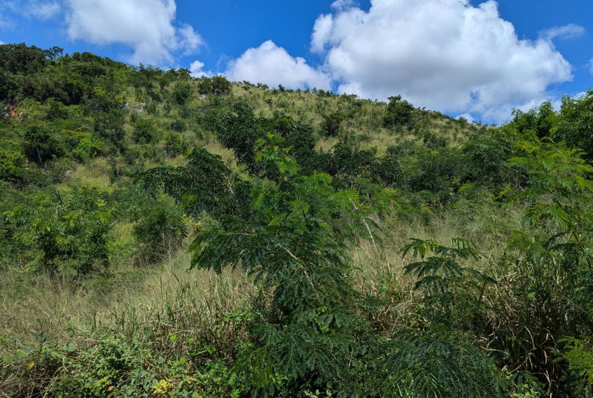Second image of Lot 647a Plantation Drive in Red Hills, St. Andrew, Jamaica - property is For Sale
