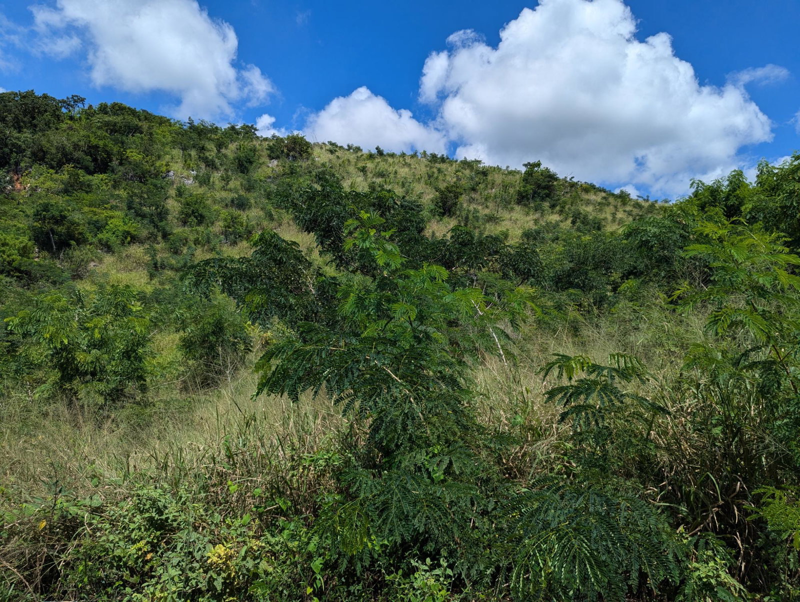 Prime-Residential-Lot-for-Sale-in-Plantation-Heights-Jamaica Second image of Lot 647a Plantation Drive in Red Hills, St. Andrew, Jamaica - property is For Sale
