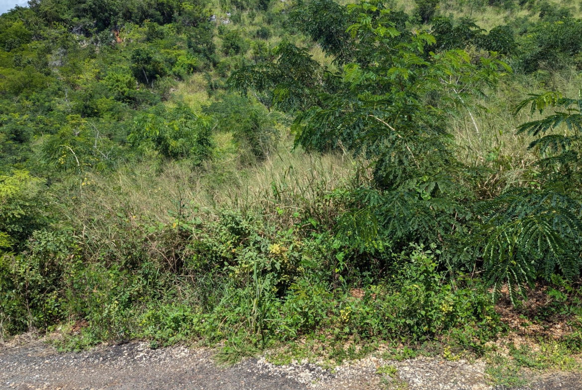 First image of Lot 647a Plantation Drive in Red Hills, St. Andrew, Jamaica - property is For Sale