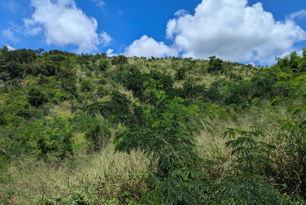 Third image of Lot 647a Plantation Drive in Red Hills, St. Andrew, Jamaica - property is For Sale