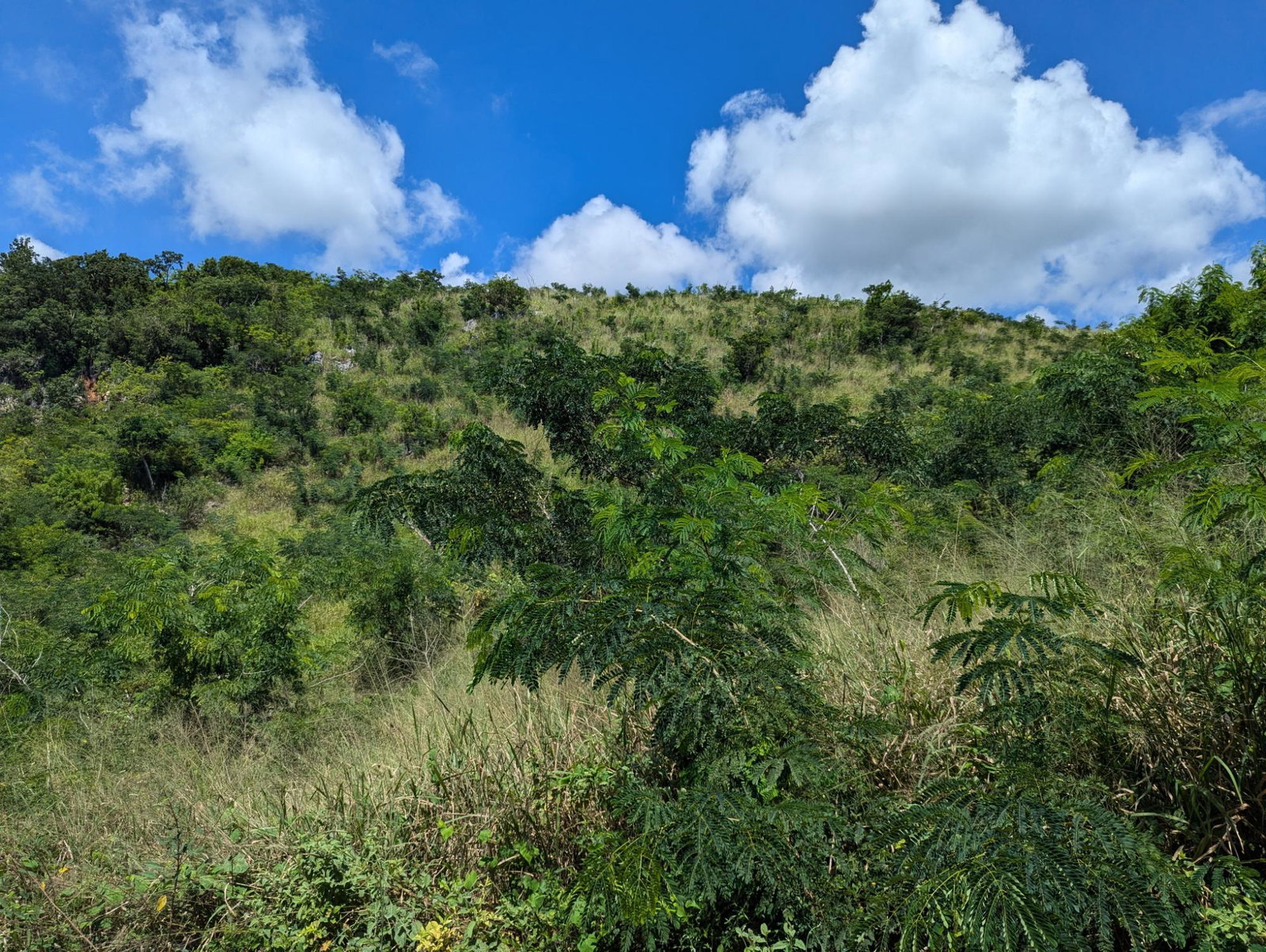 Prime-Residential-Lot-for-Sale-in-Plantation-Heights-Jamaica Third image of Lot 647a Plantation Drive in Red Hills, St. Andrew, Jamaica - property is For Sale