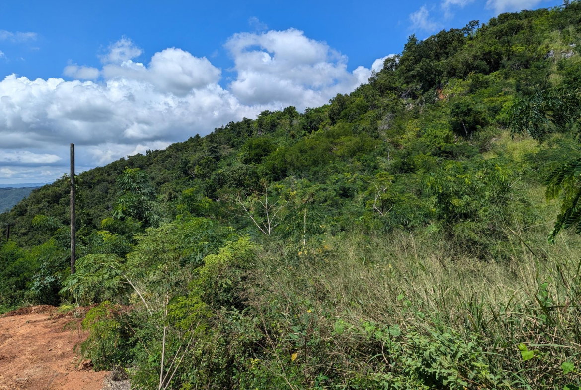 Fourth image of Lot 647a Plantation Drive in Red Hills, St. Andrew, Jamaica - property is For Sale