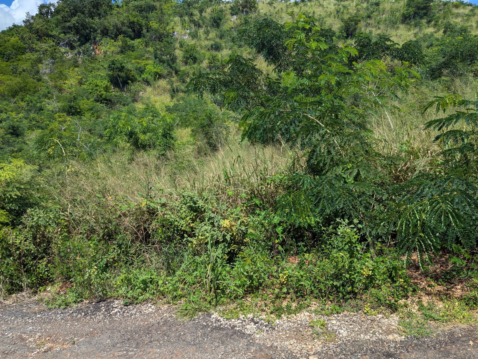 Prime-Residential-Lot-for-Sale-in-Plantation-Heights-Jamaica First image of Lot 647a Plantation Drive in Red Hills, St. Andrew, Jamaica - property is For Sale
