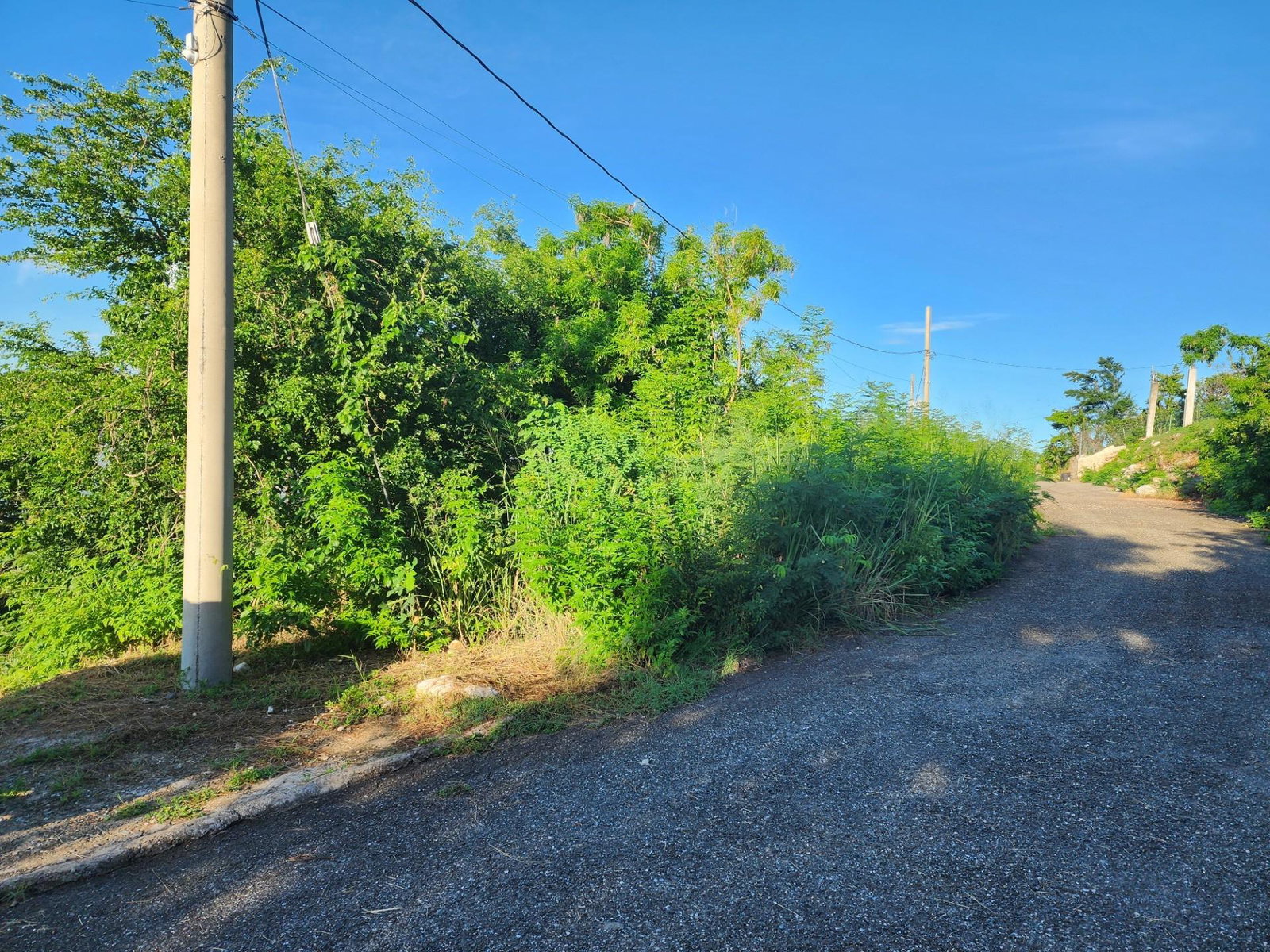 Prime-Residential-Lot-for-Sale-in-Plantation-Heights-St.-Andrew Second image of Lot 273 Cragstone Drive in Red Hills, St. Andrew, Jamaica - property is For Sale