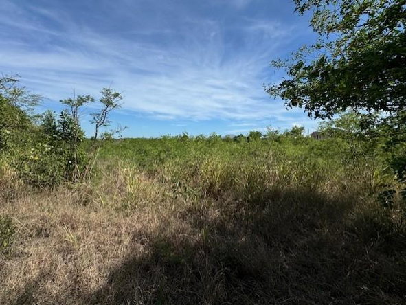 Eighth image of 584 Twin Palms Estate, Palmer in Twin Palms Estate, Clarendon, Jamaica - property is For Sale