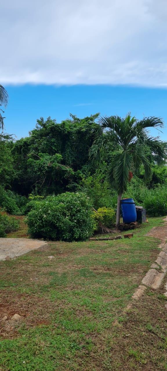 Prime-Residential-Lot-for-Sale-on-St.-Livingston-Road-Jamaica Twelfth image of Lot 1122- St. Livingston Road, in Green Acres, St. Catherine, Jamaica - property is For Sale