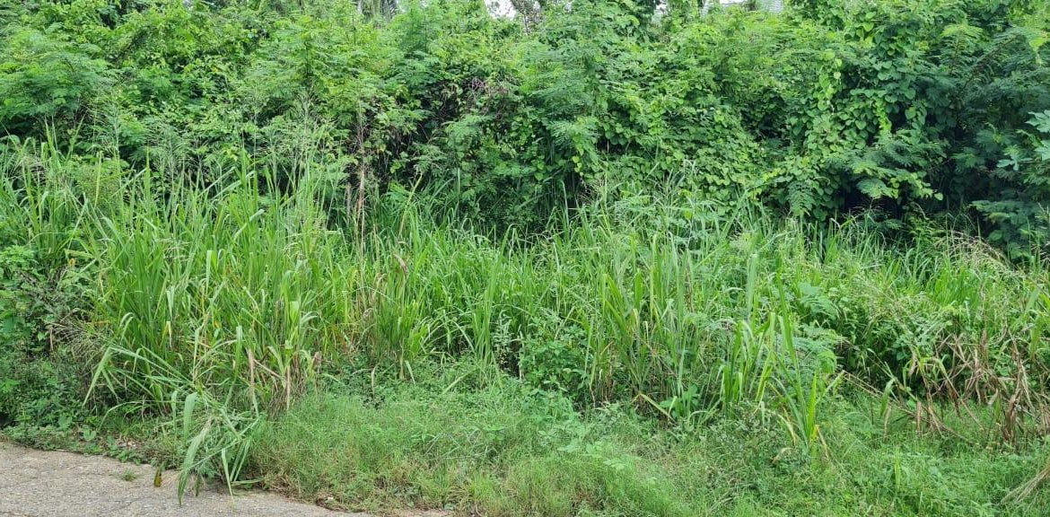 Fourteenth image of Lot 1122- St. Livingston Road, in Green Acres, St. Catherine, Jamaica - property is For Sale