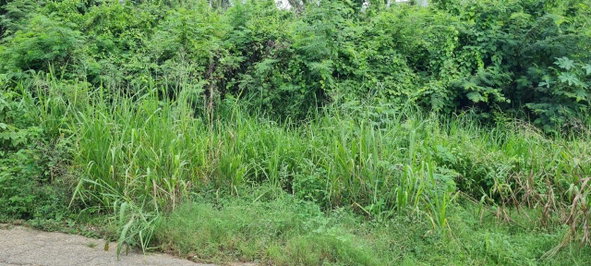 Fourteenth image of Lot 1122- St. Livingston Road, in Green Acres, St. Catherine, Jamaica - property is For Sale