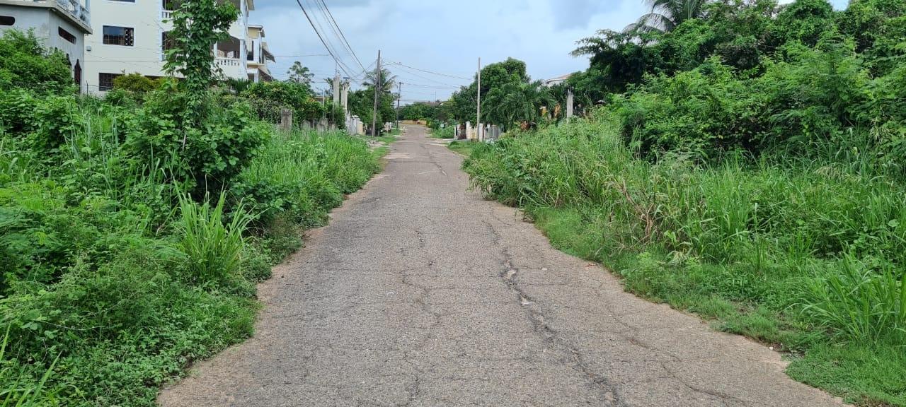 Prime-Residential-Lot-for-Sale-on-St.-Livingston-Road-Jamaica Sixteenth image of Lot 1122- St. Livingston Road, in Green Acres, St. Catherine, Jamaica - property is For Sale