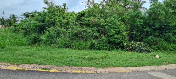 Third image of Lot 1122- St. Livingston Road, in Green Acres, St. Catherine, Jamaica - property is For Sale
