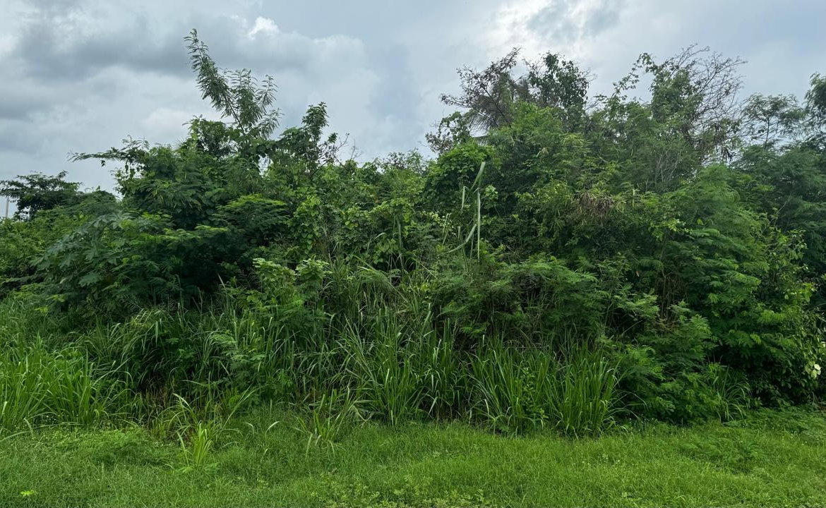 Fifth image of Lot 1122- St. Livingston Road, in Green Acres, St. Catherine, Jamaica - property is For Sale