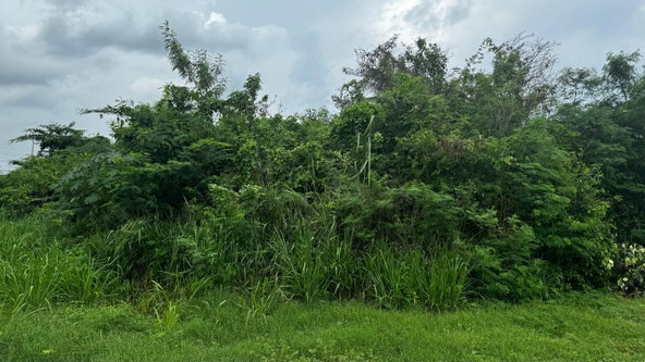 Fifth image of Lot 1122- St. Livingston Road, in Green Acres, St. Catherine, Jamaica - property is For Sale