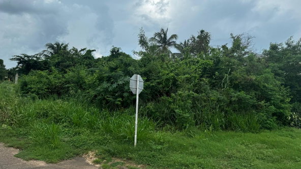 Ninth image of Lot 1122- St. Livingston Road, in Green Acres, St. Catherine, Jamaica - property is For Sale