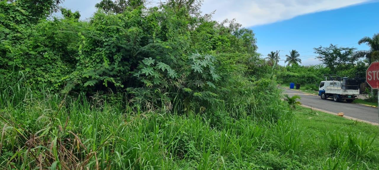 Prime-Residential-Lot-for-Sale-on-St.-Livingston-Road-Jamaica Tenth image of Lot 1122- St. Livingston Road, in Green Acres, St. Catherine, Jamaica - property is For Sale
