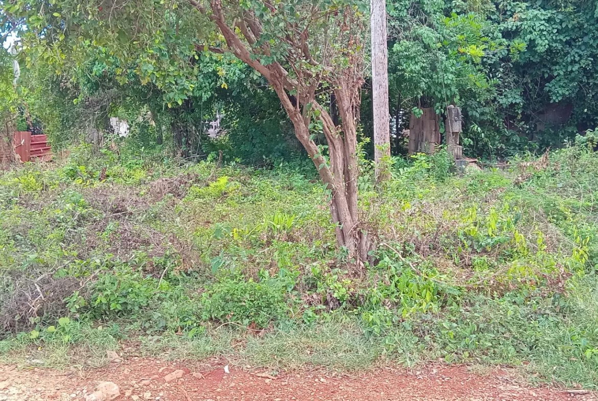 Fourth image of Bendons Rest, St. Catheri in Green Acres, St. Catherine, Jamaica - property is For Sale