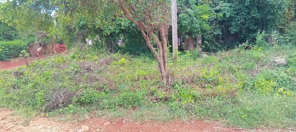 Fourth image of Bendons Rest, St. Catheri in Green Acres, St. Catherine, Jamaica - property is For Sale