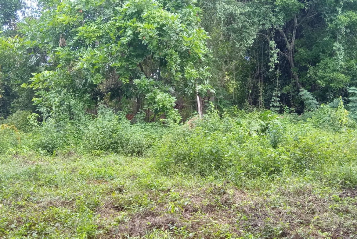 Fifth image of Bendons Rest, St. Catheri in Green Acres, St. Catherine, Jamaica - property is For Sale