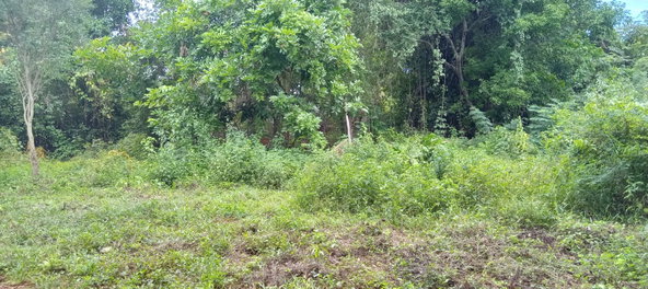 Fifth image of Bendons Rest, St. Catheri in Green Acres, St. Catherine, Jamaica - property is For Sale