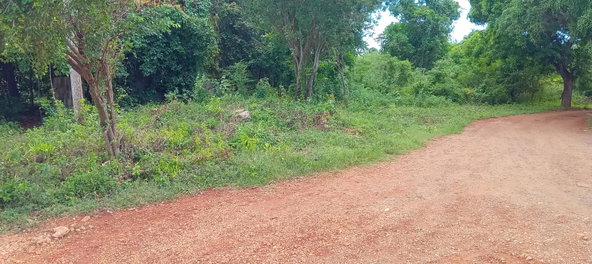 Sixth image of Bendons Rest, St. Catheri in Green Acres, St. Catherine, Jamaica - property is For Sale