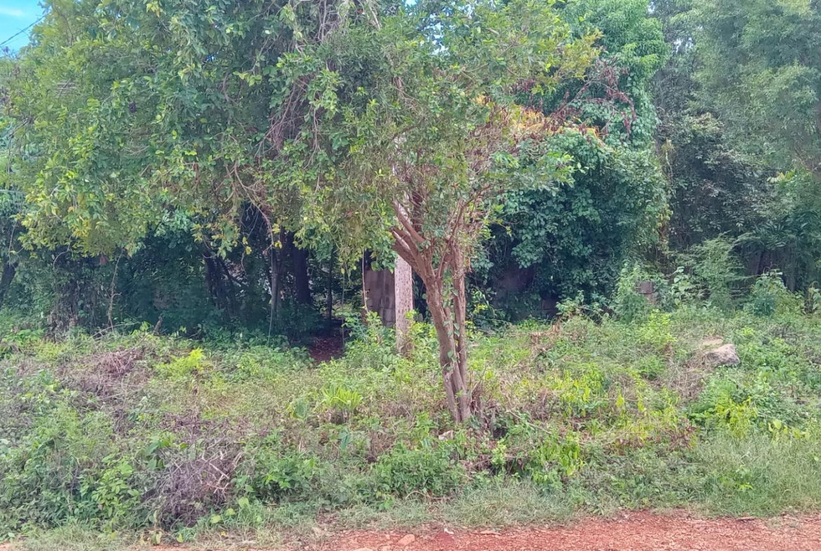 Seventh image of Bendons Rest, St. Catheri in Green Acres, St. Catherine, Jamaica - property is For Sale