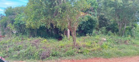 Seventh image of Bendons Rest, St. Catheri in Green Acres, St. Catherine, Jamaica - property is For Sale