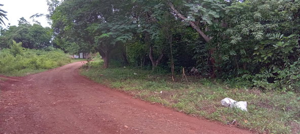Eighth image of Bendons Rest, St. Catheri in Green Acres, St. Catherine, Jamaica - property is For Sale