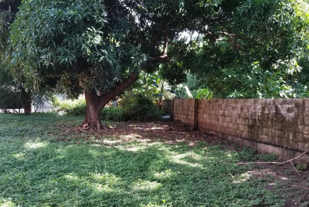 Twentieth image of 35 Lawrence Avenue in Kingston 8, St. Andrew, Jamaica - property is For Sale