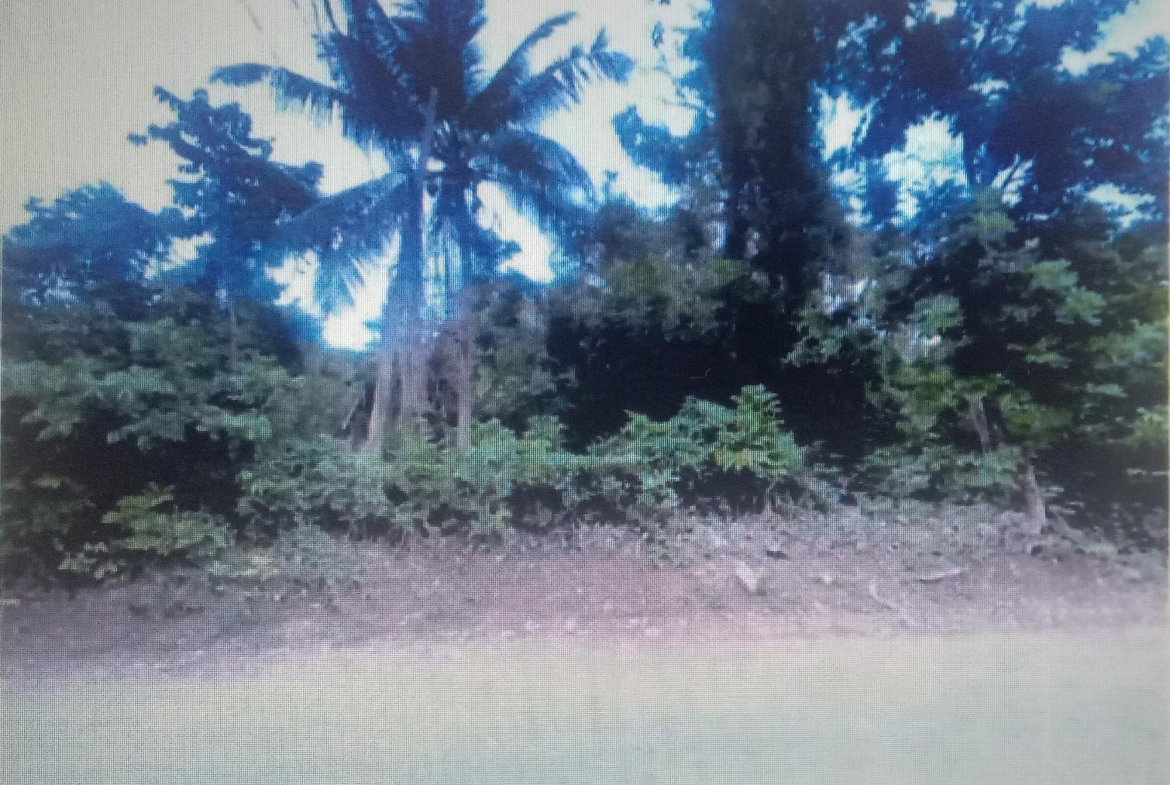Second image of Lot #9- Cocoa Boo in Ewarton, St. Catherine, Jamaica - property is For Sale