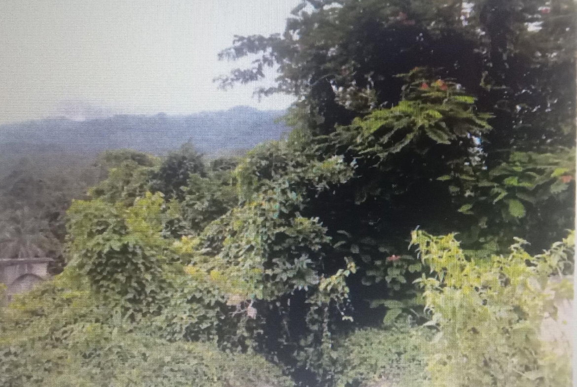 First image of Lot #9- Cocoa Boo in Ewarton, St. Catherine, Jamaica - property is For Sale