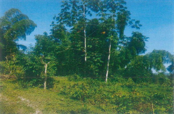 Second image of Property Road in Kingston 9, St. Andrew, Jamaica - property is For Sale