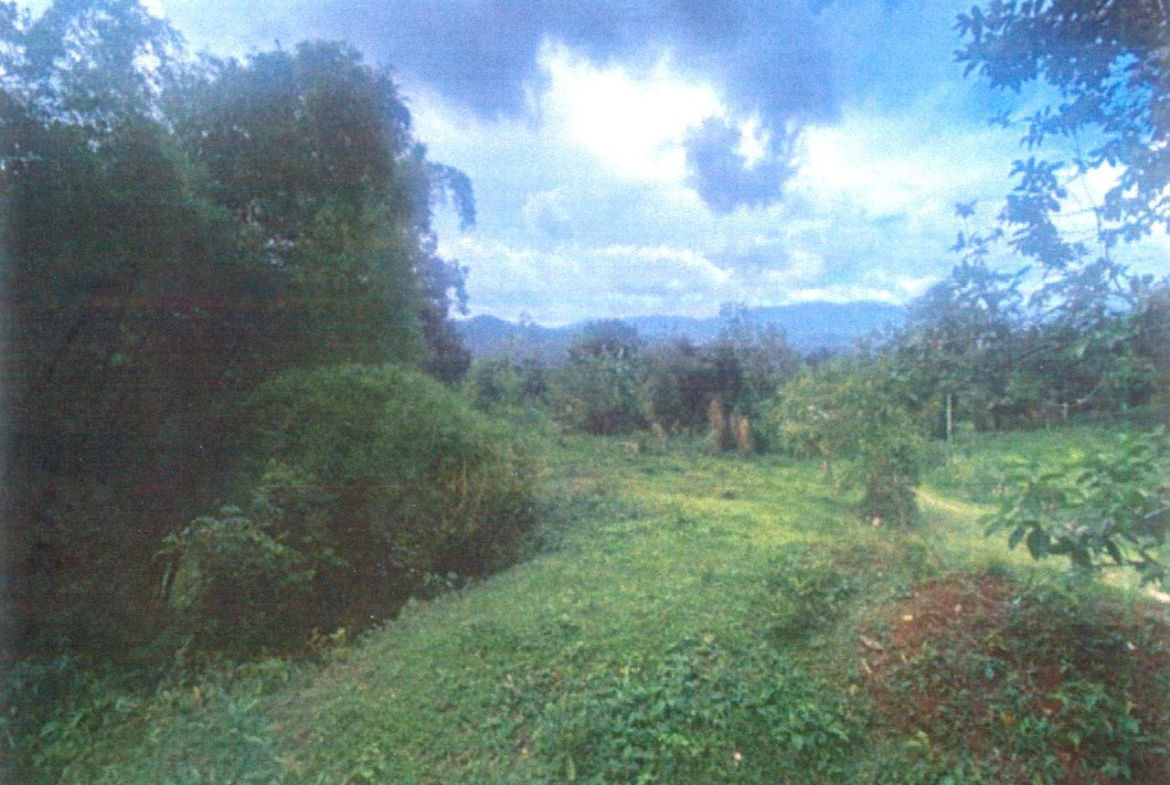 Third image of Property Road in Kingston 9, St. Andrew, Jamaica - property is For Sale