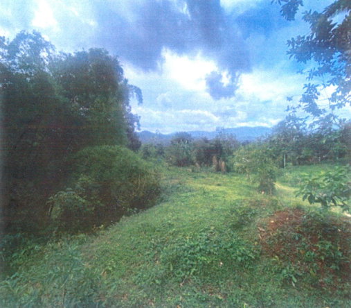 Third image of Property Road in Kingston 9, St. Andrew, Jamaica - property is For Sale