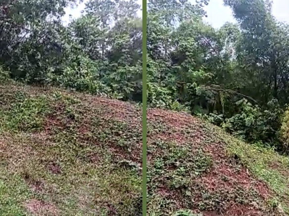 First image of Property Road in Kingston 9, St. Andrew, Jamaica - property is For Sale