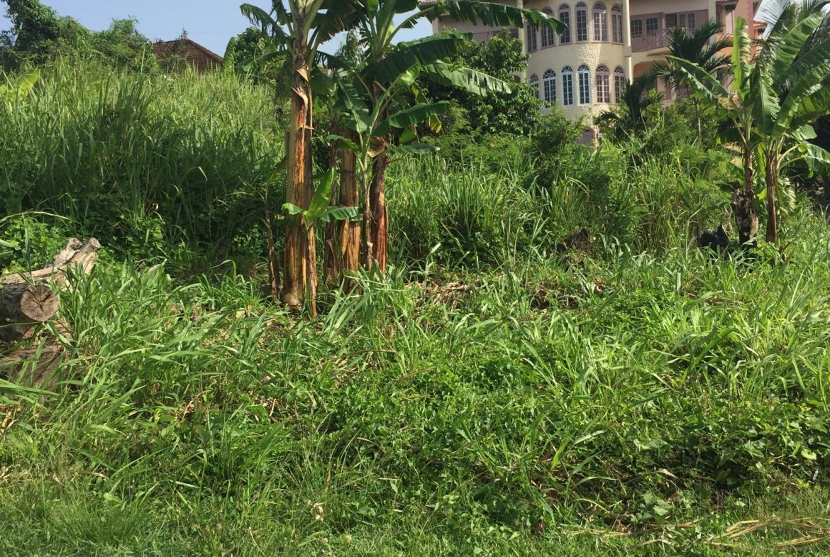 Second image of 42 Venezia Avenue, Vista Del in Drax Hall Estate, St. Ann, Jamaica - property is For Sale