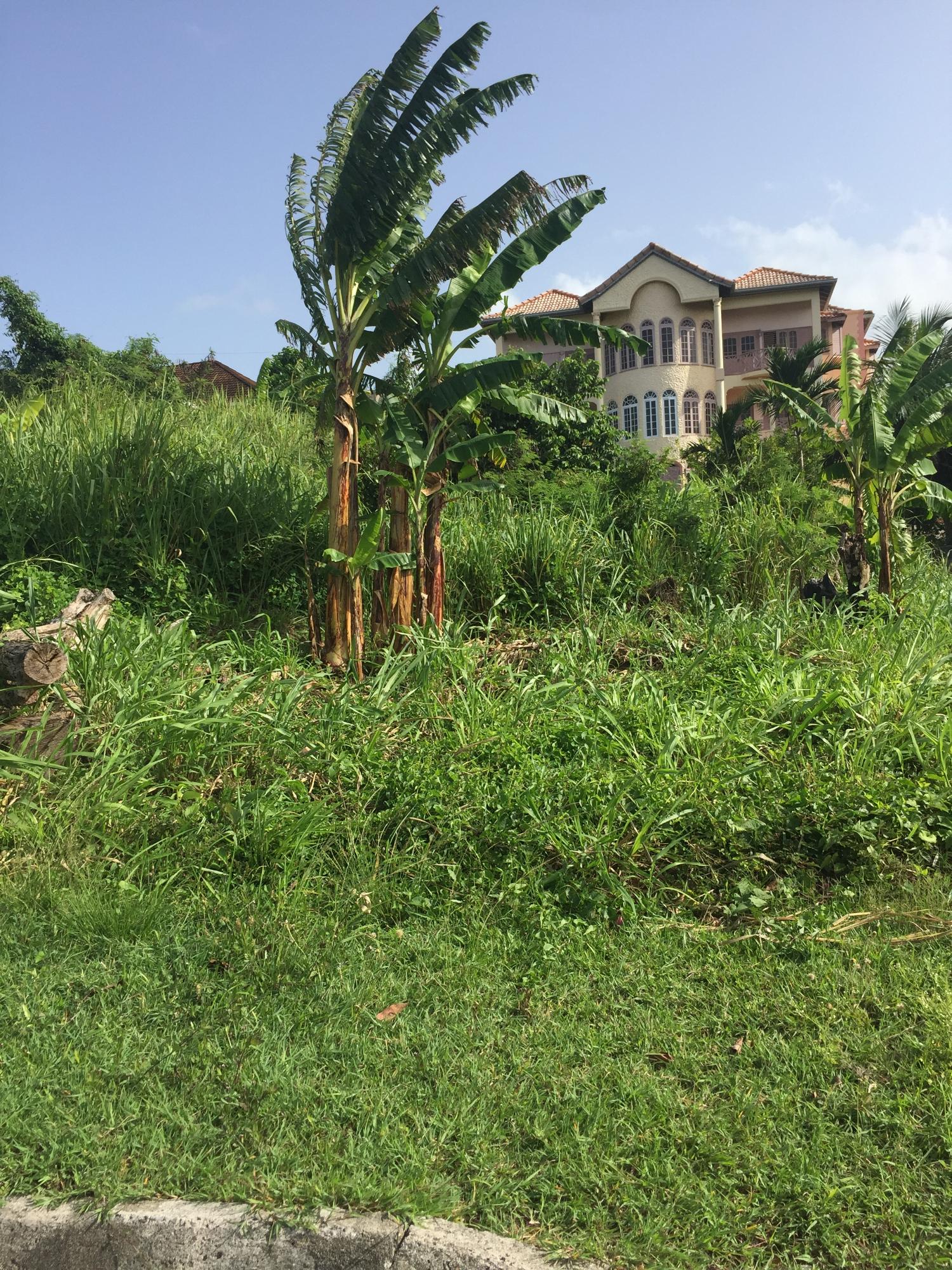 Second image of 42 Venezia Avenue, Vista Del in Drax Hall Estate, St. Ann, Jamaica - property is For Sale